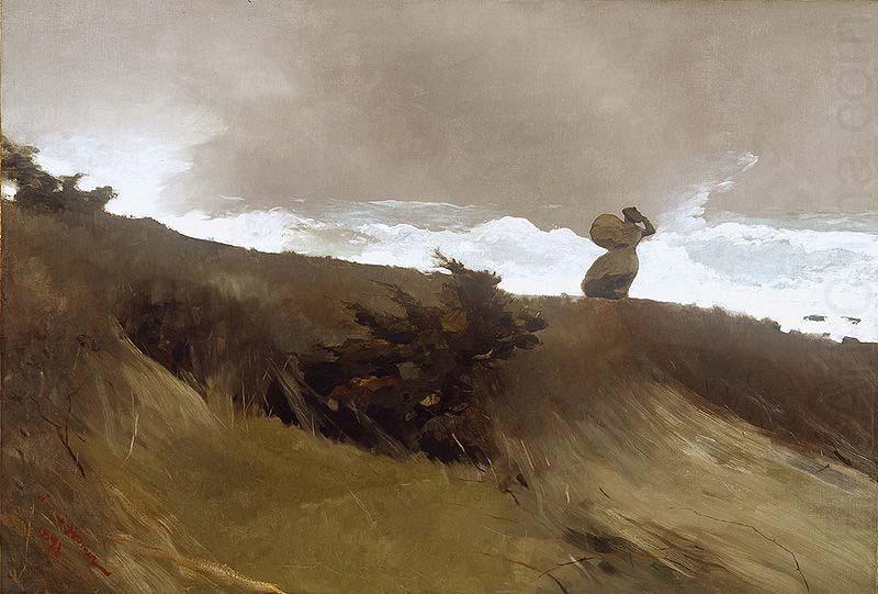 Winslow Homer The West Wind china oil painting image